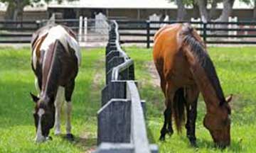 Moss Creek Plantation Equestrian Center