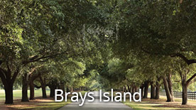 Brays Island