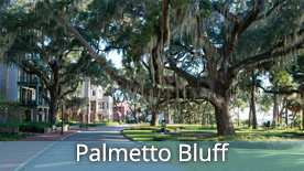 Palmeto Bluff